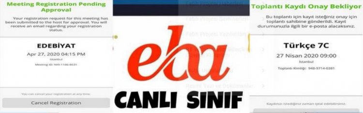 Fehler und Lösungen in der Eba Live-Kursanwendung