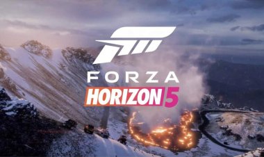Forza Horizo​​n 5 错误代码 FH301 解决方案