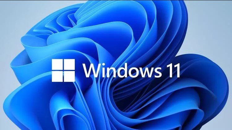 Problema de actualización de Windows 11