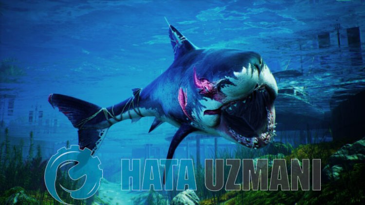 วิธีแก้ไข Maneater ไม่เปิดปัญหา?