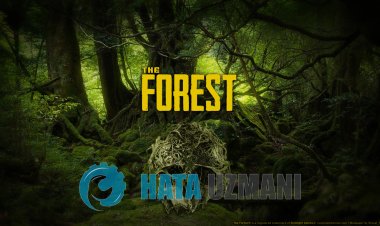 如何解决森林不开放问题？