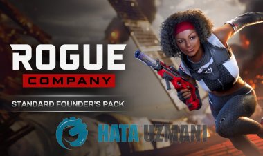 How To Fix Rogue Company Crash Issue?
