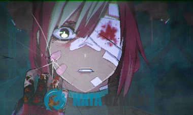 如何修复 SIGNALIS 崩溃问题？