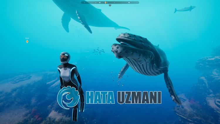 Beyond Blue打不开怎么解决？