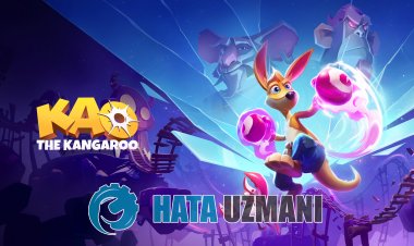 Kao the Kangaroo Çökme Sorunu Nasıl Düzeltilir?
