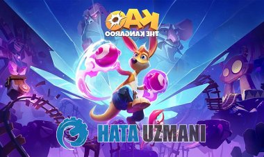 如何修复 Kao the Kangaroo 错误 0xc000007b