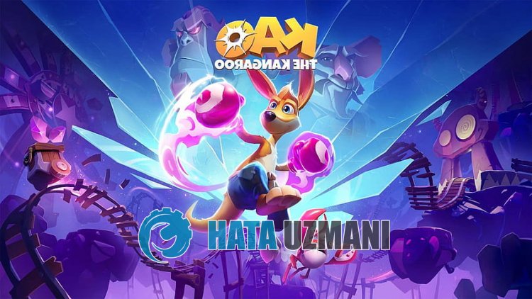 如何修复 Kao the Kangaroo 错误 0xc000007b