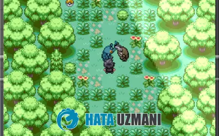 How to Fix Pokemon Reborn "Script Error"?